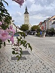 IMG_5115
