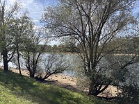 IMG_5128