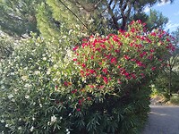 20260626_175635(0)