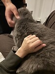 IMG_3734
