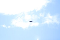 Condor
