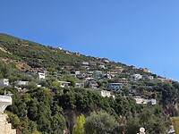 03102026 20