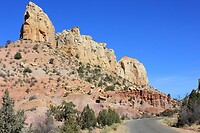 IMG_8545