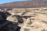 IMG_8593