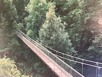 IMG_7740