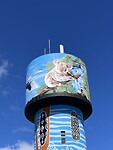 IMG_7755