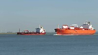260925_Westerschelde_003