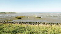 260925_Westerschelde_004