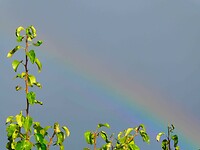 261010_Oude Stoof_Regenboog