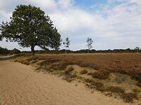 DSCN9192