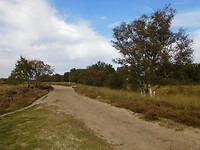 DSCN9194