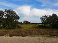 DSCN9198
