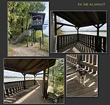 IMG_8181