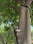IMG_7468