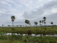 IMG_2438